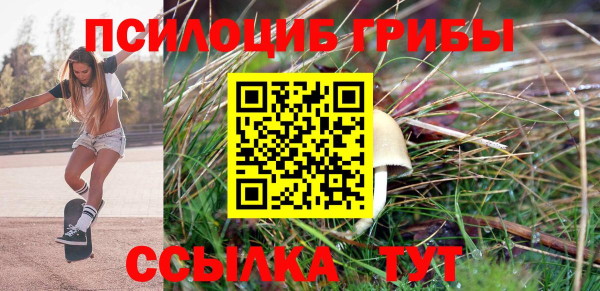 Галлюциногенные грибы Psilocybine cubensis  Вход с VPN  Магадан 